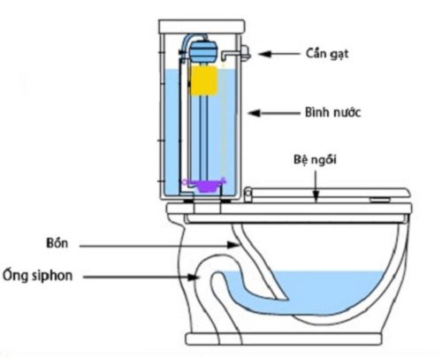 Cấu tạo siphon bồn cầu xử lý mùi hôi nhà vệ sinh chung cư